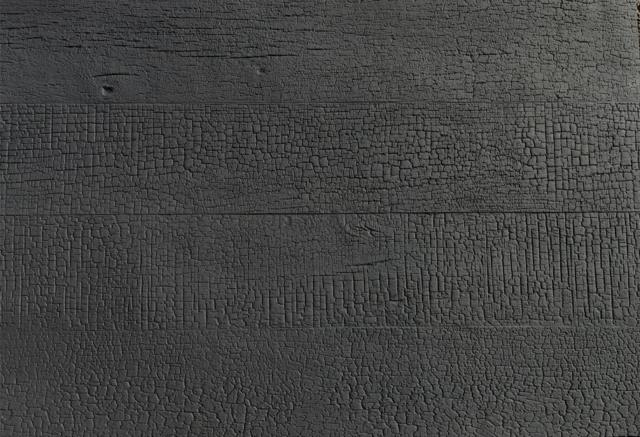 Shou Sugi Ban