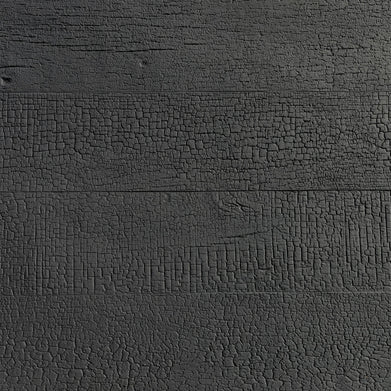 Shou Sugi Ban