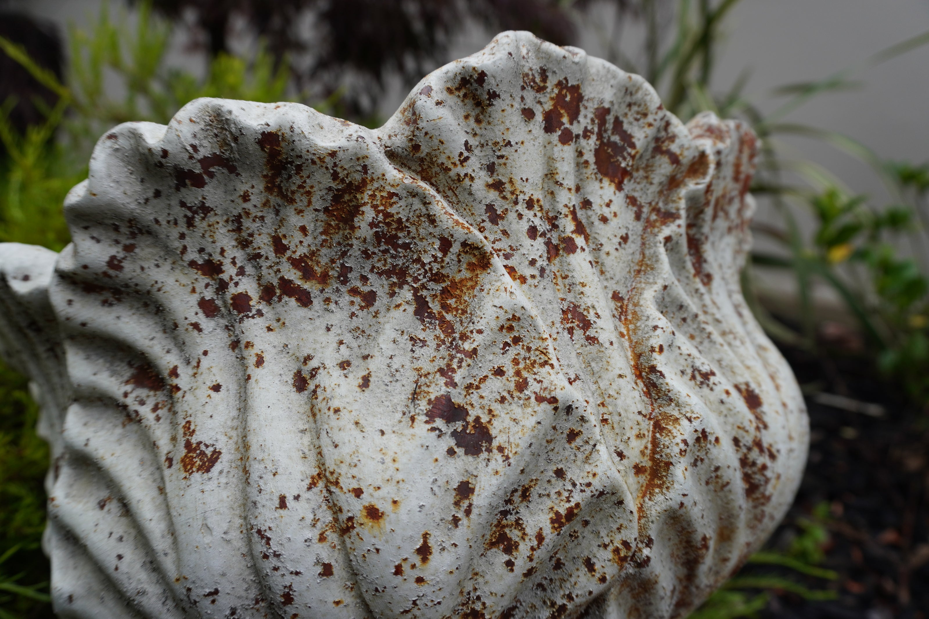 close up view of aged leaf urn