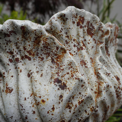 close up view of aged leaf urn