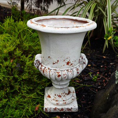 Classic Medici Urn
