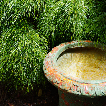 Vintage Patina Urn