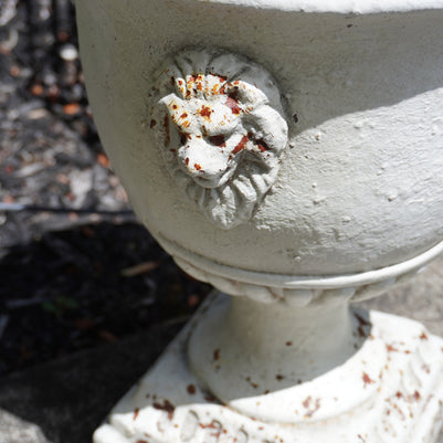 Lion Crest Medici Urn