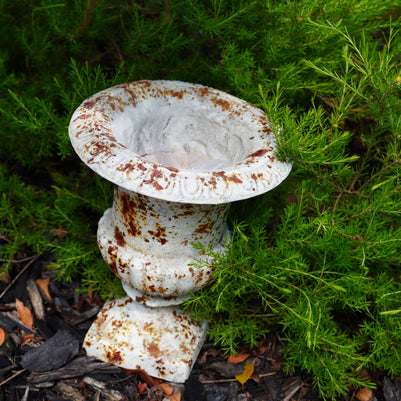 top view of rusted garden pot