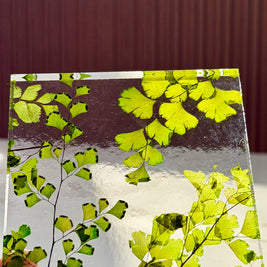 Ginkgo Leaf Resin Panel