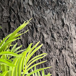 Close-up of a green plant against a textured dark background