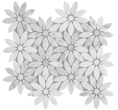 Floral Bloom