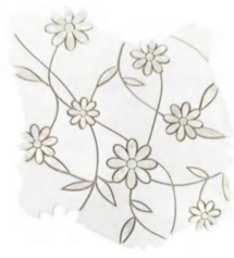 Daisy Trail