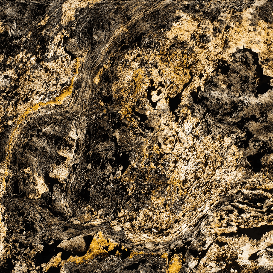 Ashen Gold (T)