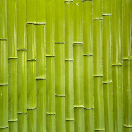 bamboo feature wall panel 