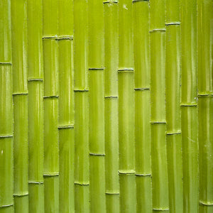 bamboo feature wall panel 