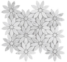 Floral Bloom
