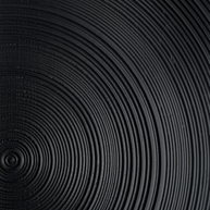 close up on the tree ring pattern