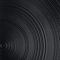 close up on the tree ring pattern