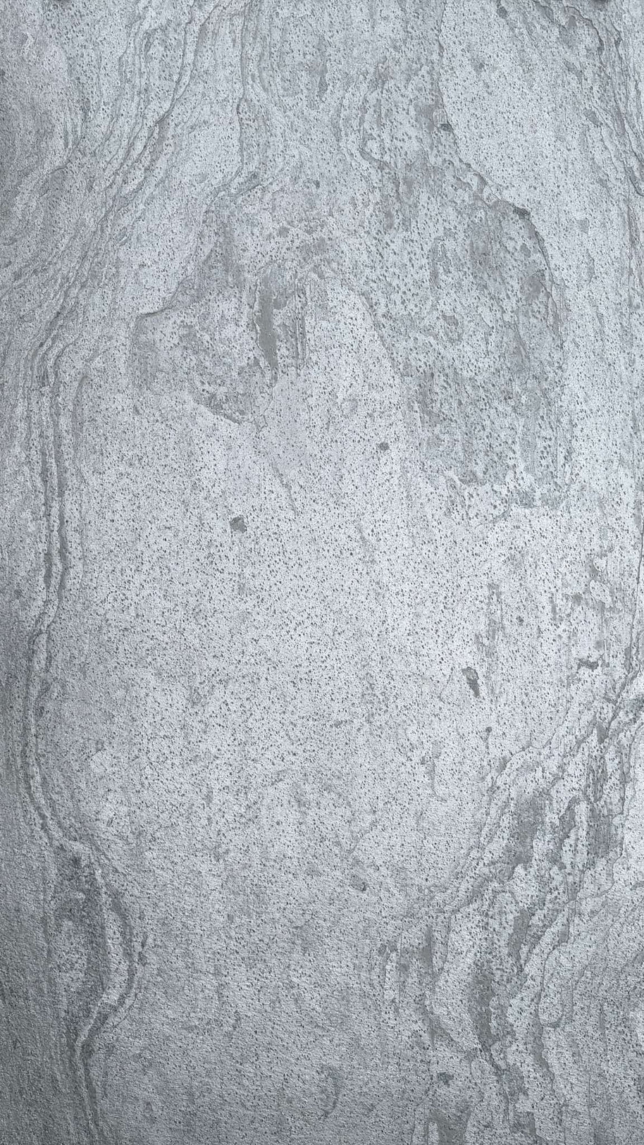 Silver Shine