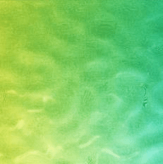 Water Ripple